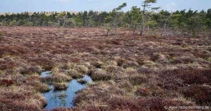 EU-Kommission will Natur vor dem Kollaps retten
