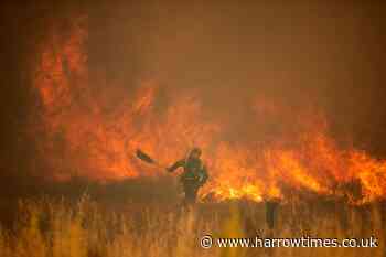 Firefighters in Spain battle wildfires across the country - Harrow Times