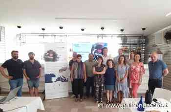 Tourismed Plus, a Termoli confronto europeo sul pescaturismo - Primonumero