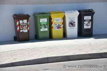 «Noi turisti in difficoltà a causa del calendario della raccolta differenziata» - Termoli Online