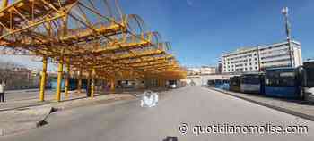 Soppresse corse autobus tra Termoli e Campobasso, Fanelli: ”Chiederò chiarimenti” - Il Quotidiano del Molse