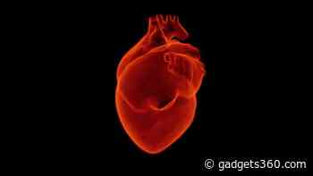 New Technology Can Repair Heart Muscles After an Attack, Say Researchers