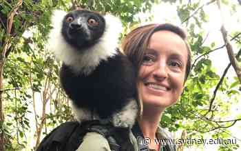 Helping lemurs and communities in Madagascar's Rainforests thrive - University of Sydney