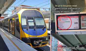Sydney train electronic platform signs explained: capacity, time, and stop information - Daily Mail