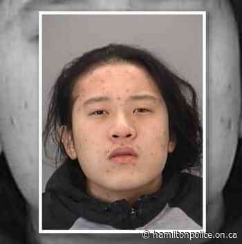 Hamilton Police Seek Assistance Locating Shooting - Hamilton Police Service