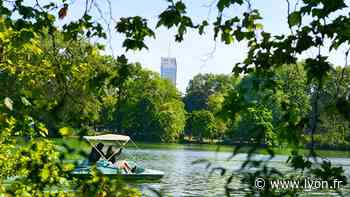 Vacances d'été : des activités en mode nature - Ville de Lyon