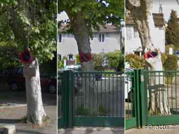 Lyon. Insolite : cet arbre avale un panneau depuis 10 ans, les photos sont surprenantes - Le Ploërmelais