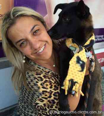 Protetora de animais pede ajuda em Esteio - Diário Gaúcho