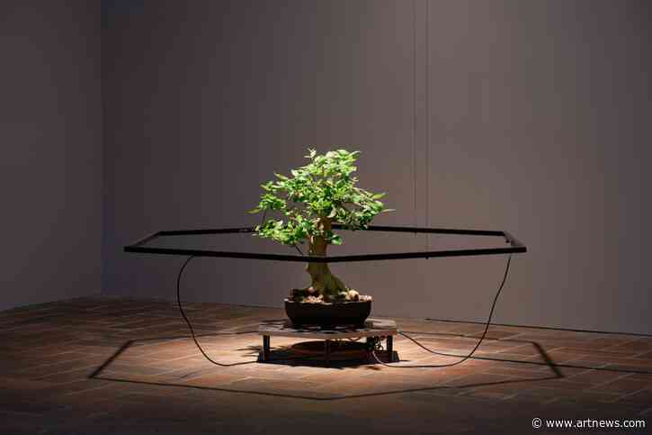 Carnegie International, the U.S.’s Oldest Biennial-Style Show, Names Artists for 2022 Edition