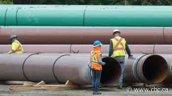 Federal budget officer says Trans Mountain pipeline to result in net loss for government