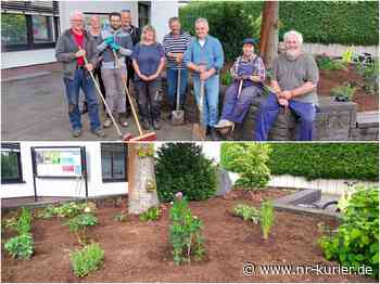 "Grüner Daumen" für die Verwaltung: Außengelände am Puderbacher Rathaus umgestaltet - NR-Kurier - Internetzeitung für den Kreis Neuwied