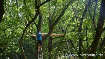 Sommerferien in Jever: Xperimenta im Naturerlebnisort - Nordwest-Zeitung