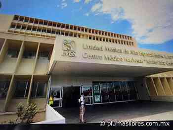 UMAE IMSS Adolfo Ruiz Cortines confirma que espera pronta reanudación de cirugías de trasplantes de órganos, tras observaciones de COFEPRIS - plumas libres