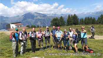 Vorstandsmitglieder hören auf: Wandert der Schwarzwaldverein Höfen der Auflösung entgegen?