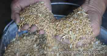 Russia, Turkey in talks to transport grain - Gloucester Advocate