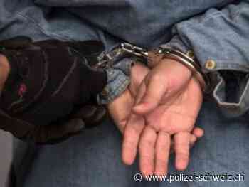 Dornach SO: Anwohnerin befördert vier Männer in den Knast - Polizei-Schweiz.ch