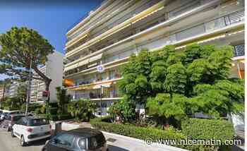 Femme retrouvée morte à Menton: un appel à l’aide lancé pour le chat de la défunte