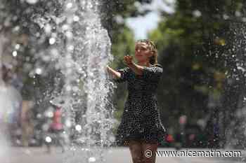 Peindre les toits, planter des arbres... Ces aménagements urbains qui permettent de rafraîchir les villes