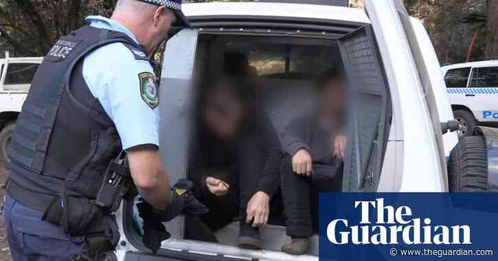 Greens MP calls for inquiry into botched NSW police operation against Blockade Australia