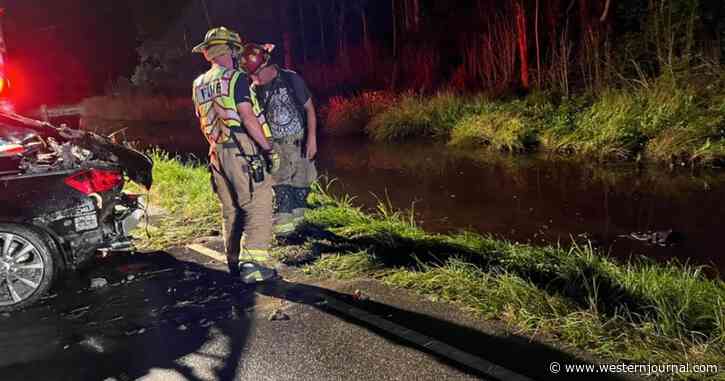 Dog Trapped in Overturned, Submerged Car for 20 Minutes Miraculously Survives