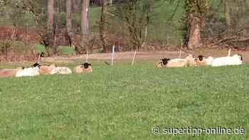 "Tourismusallianz" zwischen Düsseldorf und dem Kreis Mettmann - Super Tipp