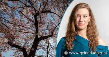 Triest om iemand anders nodig te hebben om een boom te kunnen zien, maar godzijdank kan het weer - De Gelderlander