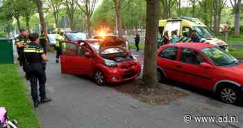 Automobilist knalt tegen boom langs de Beresteinlaan in Den Haag - AD.nl