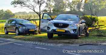 Ravage als auto's elkaar raken in bocht: boom en geparkeerd voertuig geramd - De Gelderlander