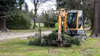 Man compenseert geannuleerde vlucht door boom uit grond te trekken - De Speld