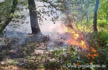 FW Xanten: Bodenfeuer in Xanten Vynen und Waldbrand in der Hees