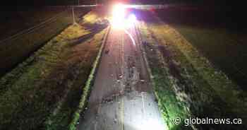 Loved ones remember ‘bright futures’ of couple killed in collision near Trochu, Alta.