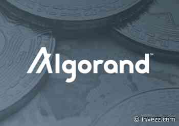 Algorand (ALGO) launches a $20M incentive program to boost Ethereum compatibility - Invezz