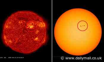 Sunspot THREE TIMES the size of Earth is facing directly at our planet