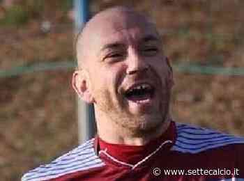 VIS NUOVA ALBA - Non poteva mancare il colpo in attacco: Favaroni - Settecalcio