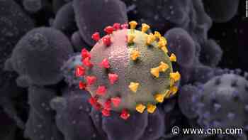New coronavirus subvariants escape antibodies from vaccination and prior Omicron infection, studies suggest