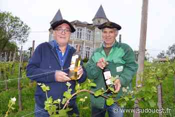 Bizanos : le vignoble de Franqueville se dévoile dimanche 26 juin - Sud Ouest