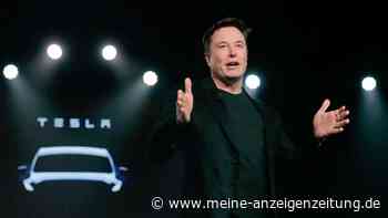 Musk: Neue Tesla-Werke verlieren Milliarden