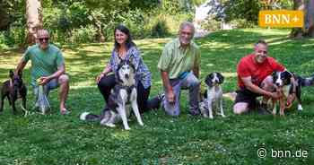Nach Absage für Hundewiese in Bruchsal: Halter wollen darum kämpfen - BNN - Badische Neueste Nachrichten