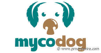 MycoDog Announces New Medicinal Mushroom Tinctures for Pets