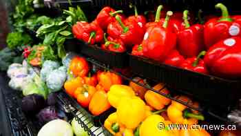 Here's how to save on your next grocery order, according to Canadian couponers