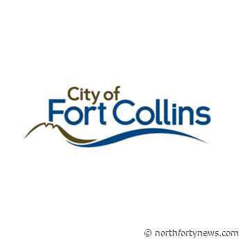 Applications Opened June 6 for Childcare and Social Services Funding Opportunities - North Forty News