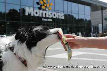 Morrisons launches ice pops for dogs for less than £1 each in time for summer