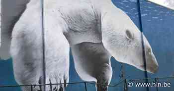 Streetartfestival 'Sea'Bridges in Brugge gaat van start en het resultaat oogt nu al indrukwekkend - Het Laatste Nieuws