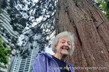 Petition to save Surrey tree raises eyebrows – North Delta Reporter - North Delta Reporter