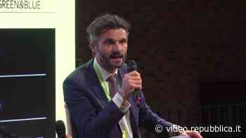 Il sindaco di Prato scommette sugli alberi: 'Cresceranno sui nostri edifici' - Repubblica TV