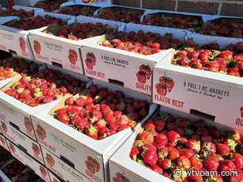 Future reconfiguration of downtown Coldwater festivals presented to DDA Board - WTVB