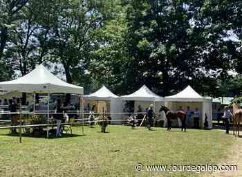 Concours AQPS - Le Chaser Day, dans la lignée de Decize - Jour de Galop