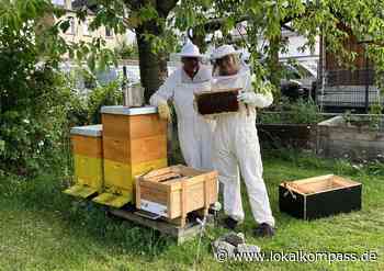 Faszinierende Leidenschaft: der Imkerverein Hemer: Für 2022 kündigt sich eine gute Honigernte an - Hemer - www.lokalkompass.de