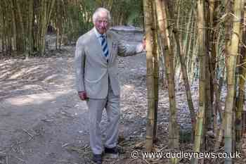 'I feel slightly bamboozled,' quips Charles after posing among bamboo trees - Dudley News