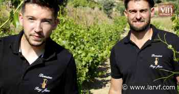 À Bandol, une nouvelle génération de vignerons prend les commandes - La Revue du vin de France